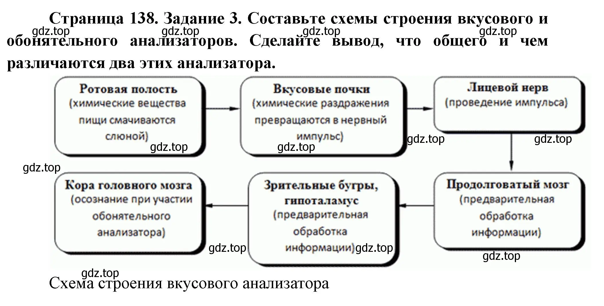 Решение номер 3 (страница 138) гдз по биологии 9 класс Пасечник, Швецов, рабочая тетрадь