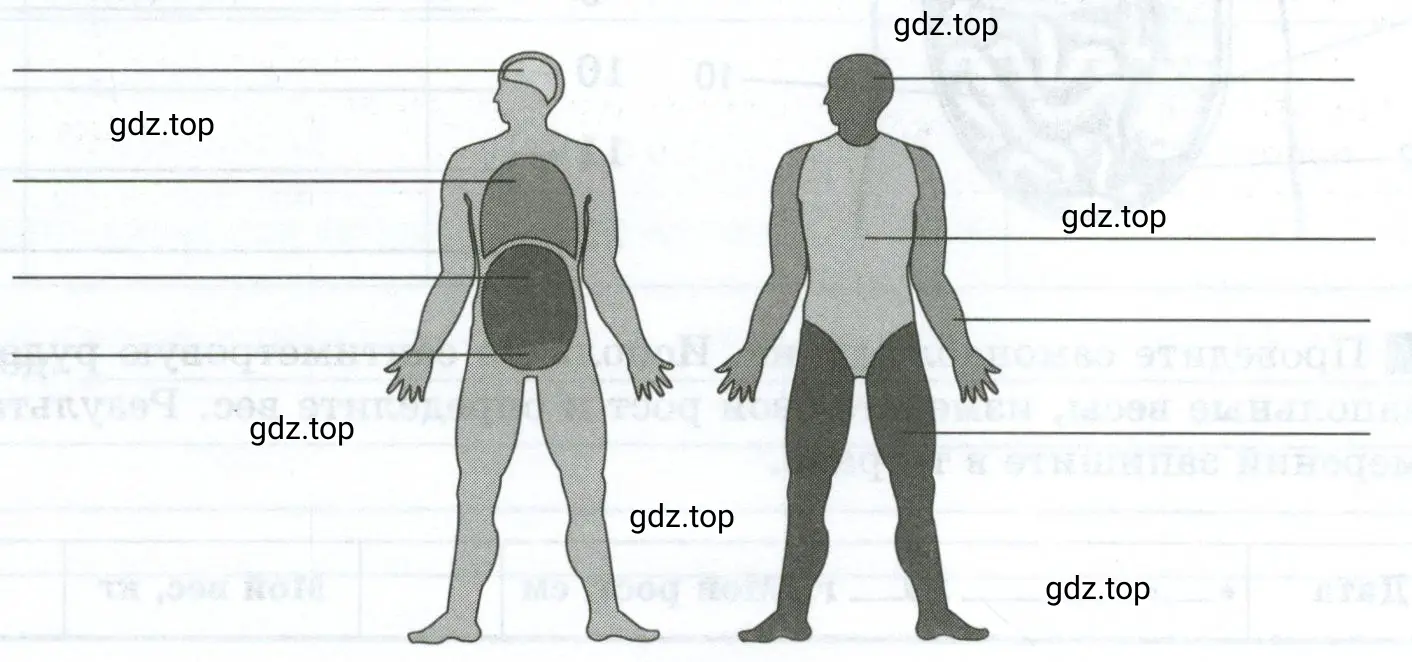 Подпишите на рисунке полости организма и основные части тела человека.