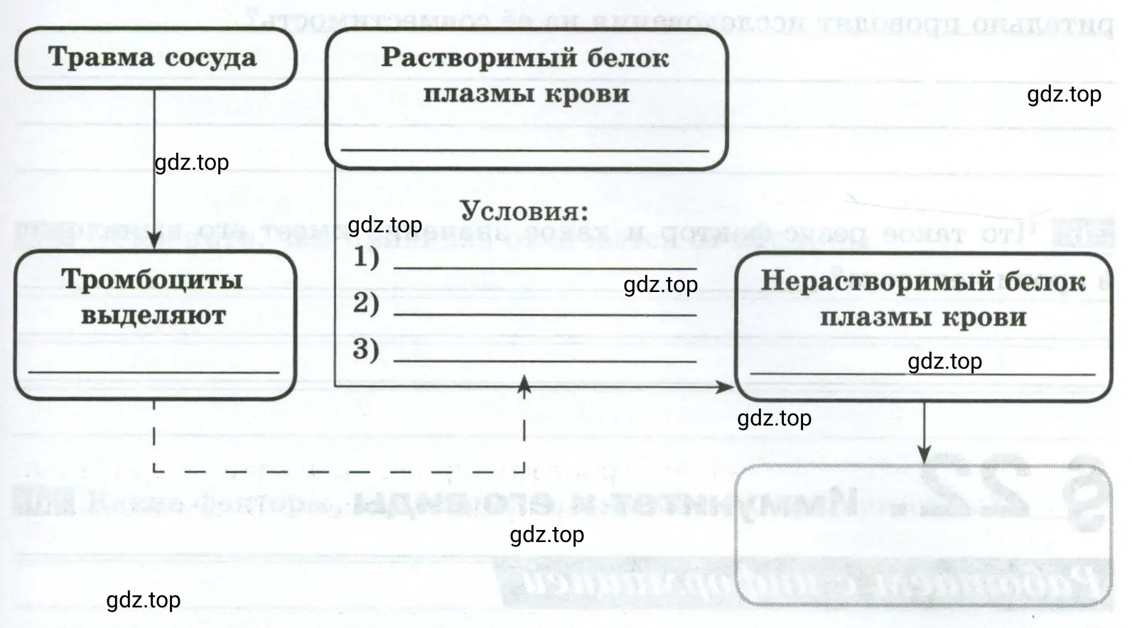 Дополните схему, отражающую порядок событий, происходящих при свёртывании крови.