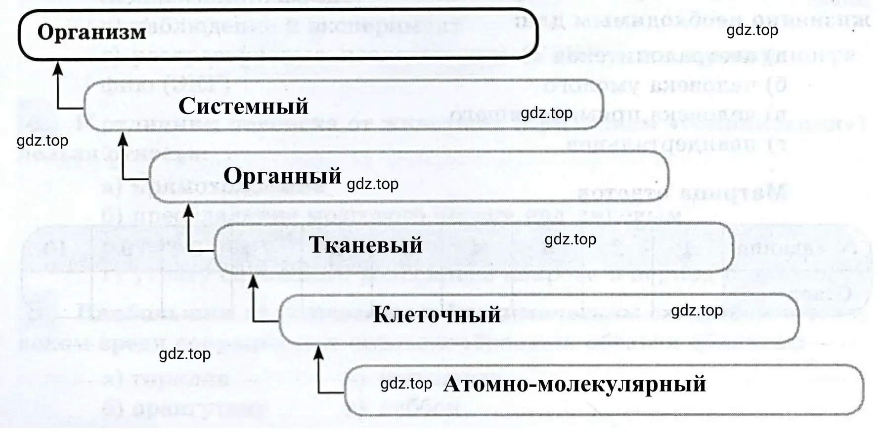 Cхема «Уровни организации организма человека».