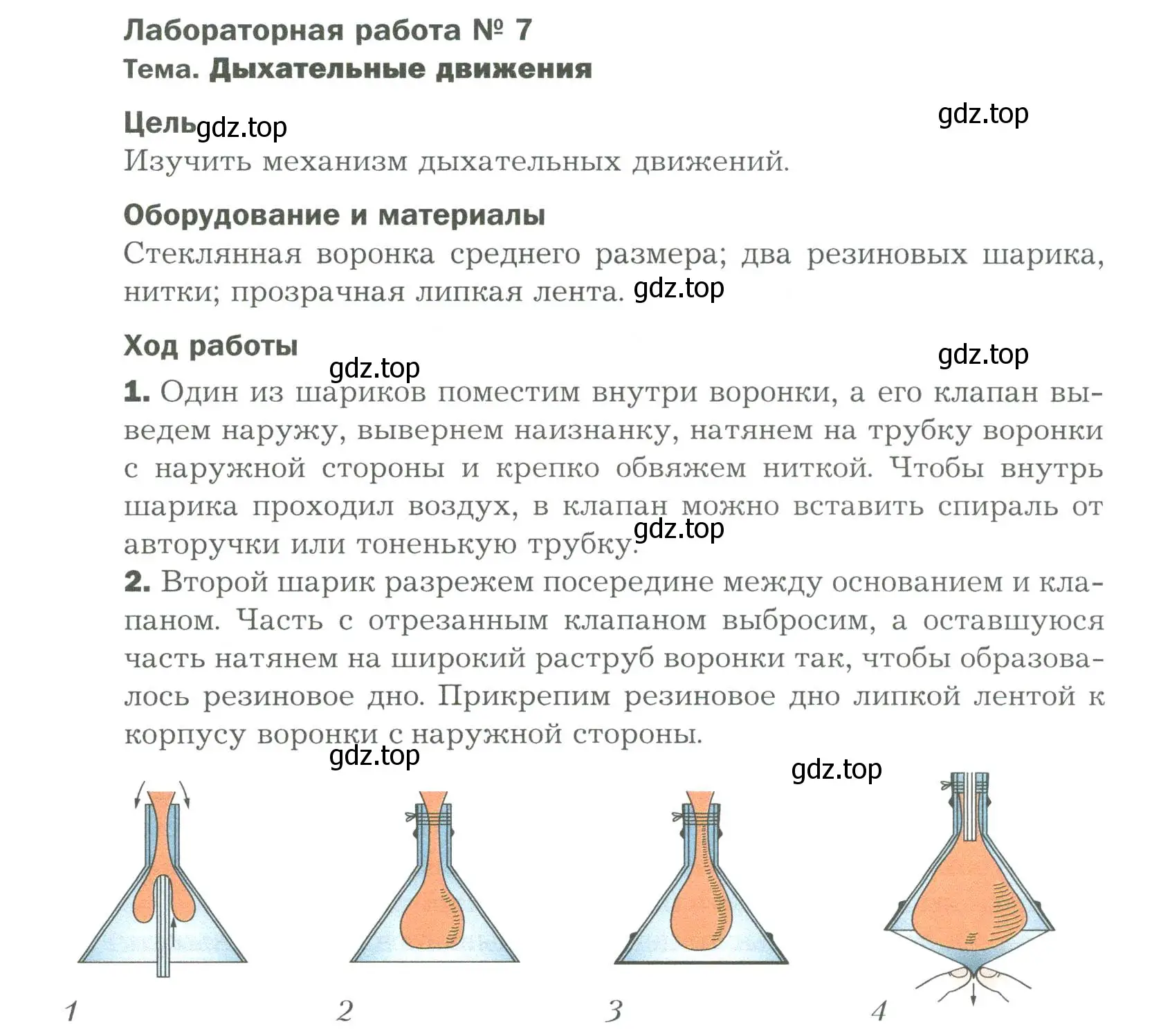 Условие  Лабораторная работа 7 (страница 177) гдз по биологии 9 класс Драгомилов, Маш, учебник