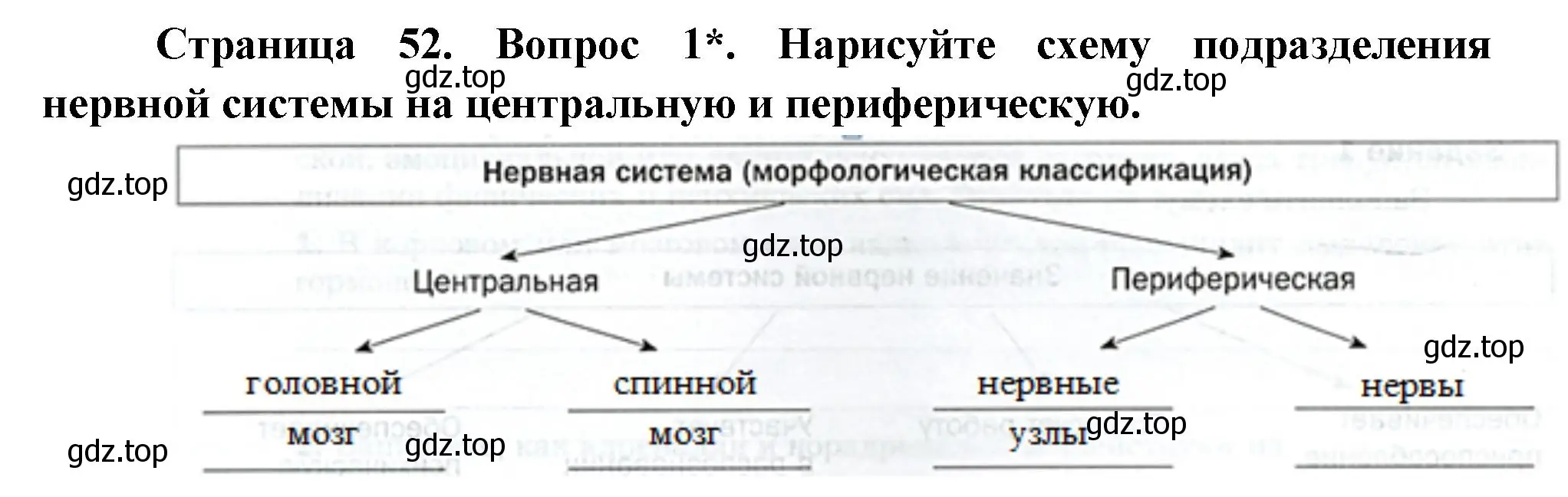 Решение номер 1 (страница 52) гдз по биологии 9 класс Драгомилов, Маш, учебник