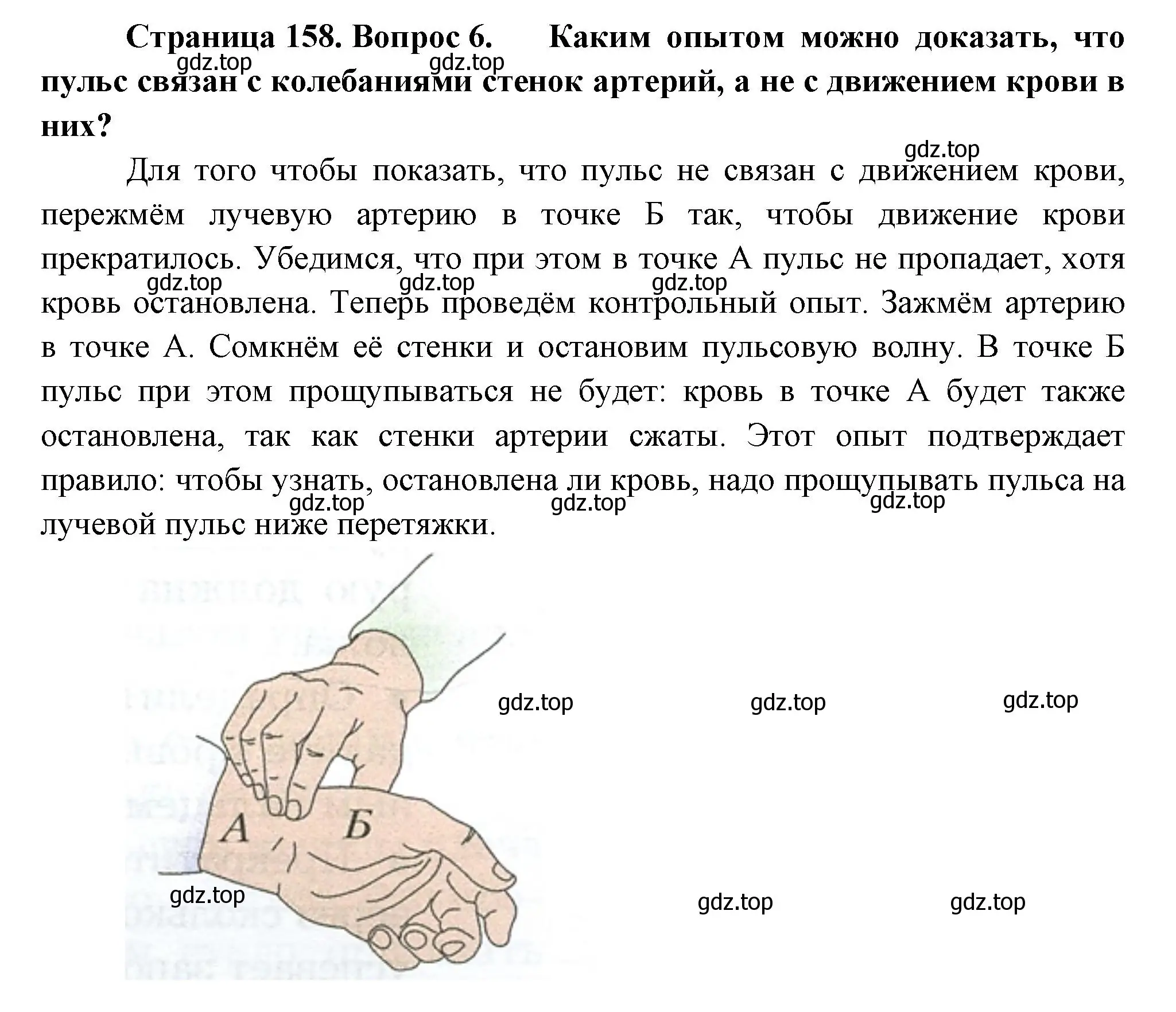 Решение номер 6 (страница 158) гдз по биологии 9 класс Драгомилов, Маш, учебник