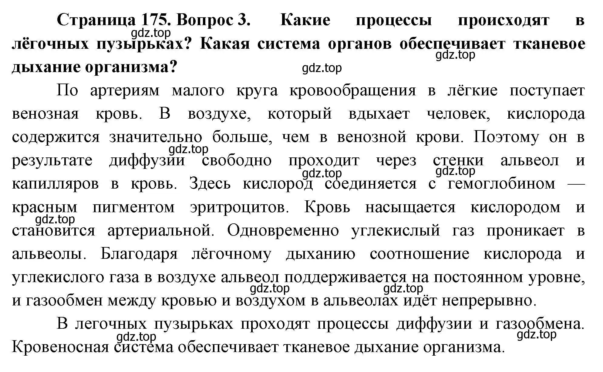 Решение номер 3 (страница 175) гдз по биологии 9 класс Драгомилов, Маш, учебник