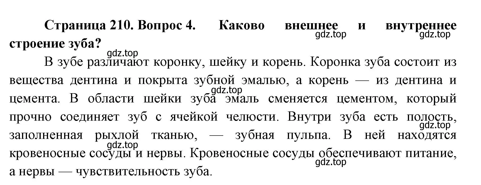 Решение номер 4 (страница 210) гдз по биологии 9 класс Драгомилов, Маш, учебник