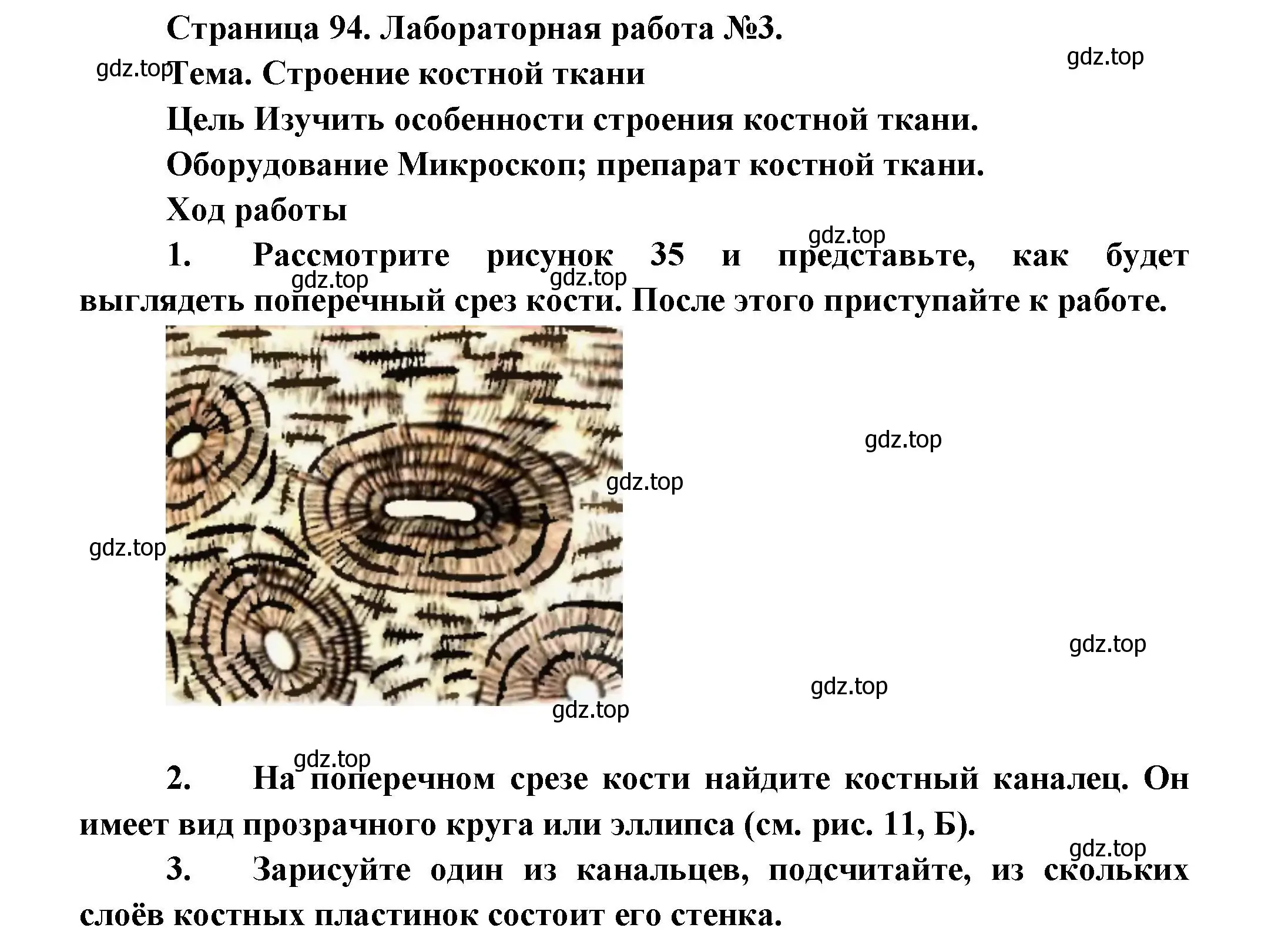 Решение Лабораторная работа 3 (страница 94) гдз по биологии 9 класс Драгомилов, Маш, учебник