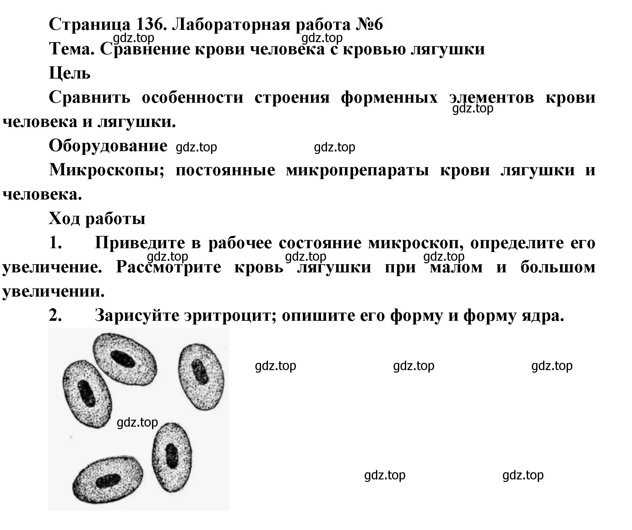 Решение  Лабораторная работа 6 (страница 136) гдз по биологии 9 класс Драгомилов, Маш, учебник