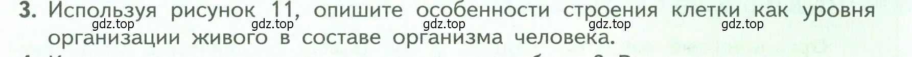 Условие номер 3 (страница 31) гдз по биологии 9 класс Пасечник, Каменский, учебник