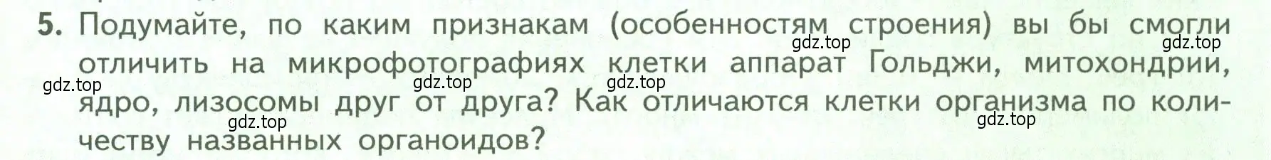 Условие номер 5 (страница 31) гдз по биологии 9 класс Пасечник, Каменский, учебник