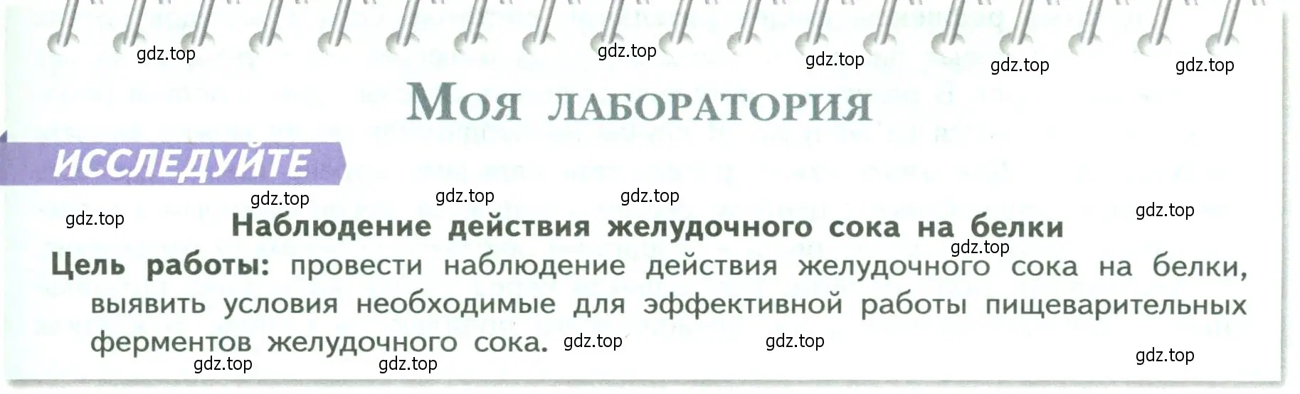 Условие  Моя лаборатория (страница 153) гдз по биологии 9 класс Пасечник, Каменский, учебник