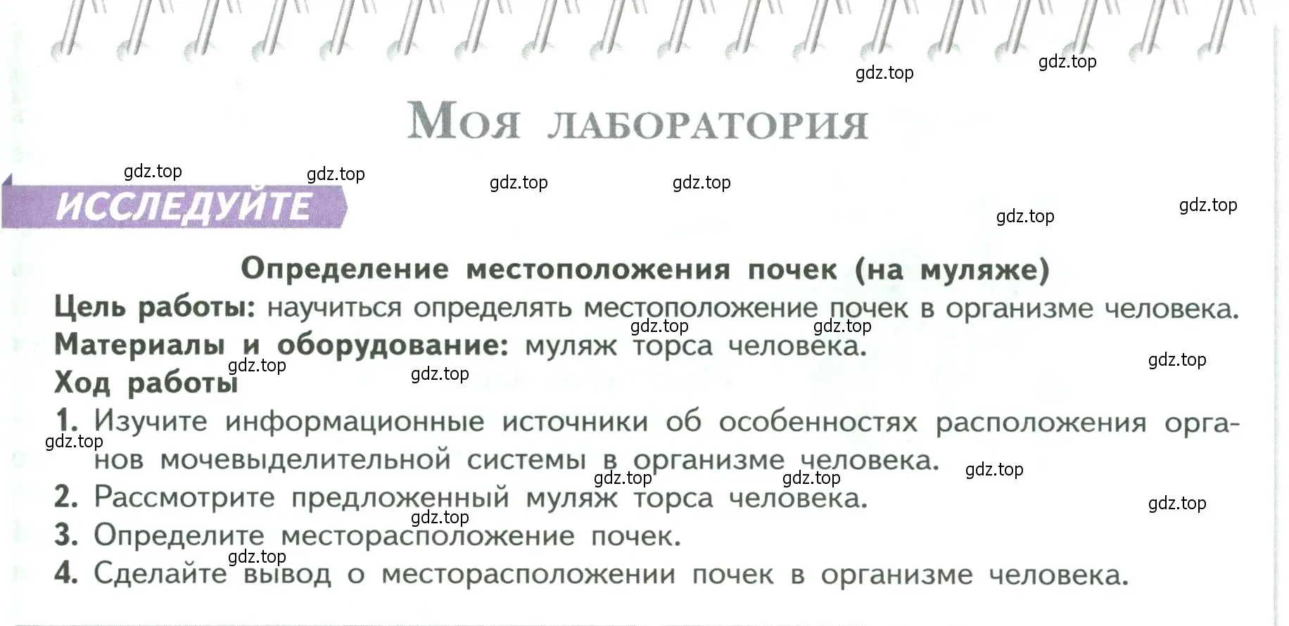 Условие  Моя лаборатория (страница 191) гдз по биологии 9 класс Пасечник, Каменский, учебник