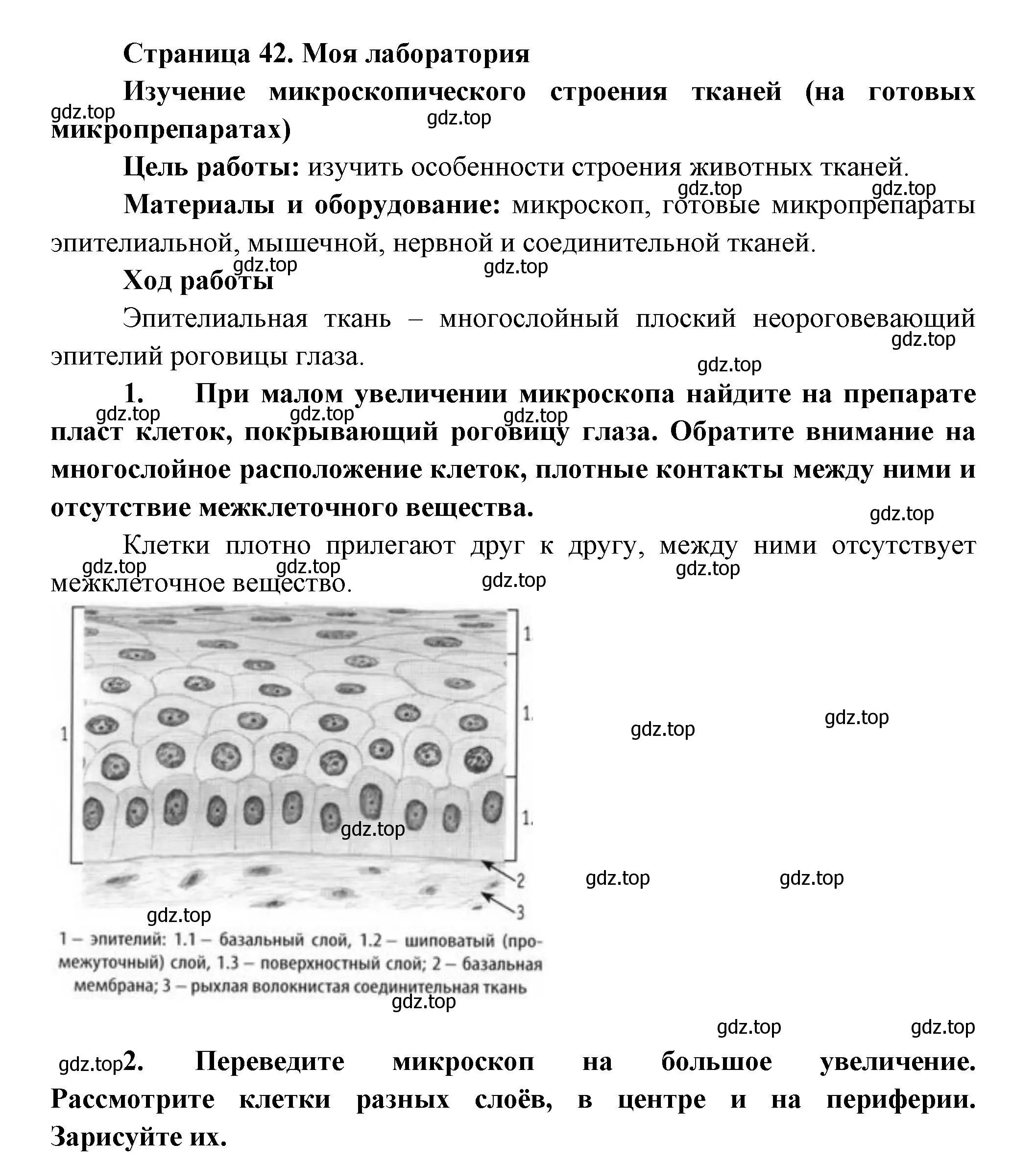 Решение  Моя лаборатория (страница 42) гдз по биологии 9 класс Пасечник, Каменский, учебник