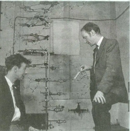 Д. Уотсон и Ф. Крик возле модели молекулы ДНК