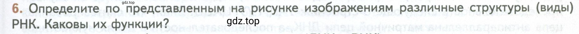 Условие номер 6 (страница 109) гдз по биологии 10 класс Пасечник, Каменский, учебник 1 часть