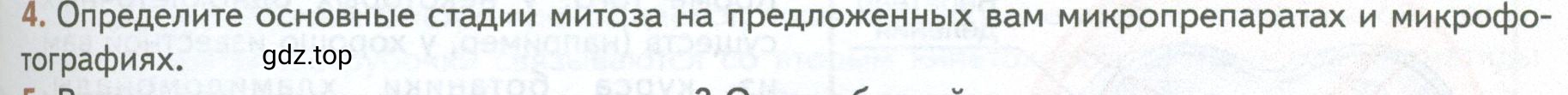 Условие номер 4 (страница 241) гдз по биологии 10 класс Пасечник, Каменский, учебник 1 часть