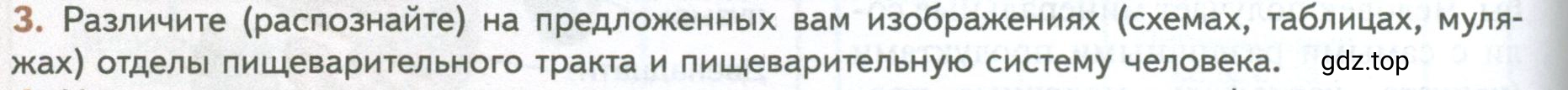 Условие номер 3 (страница 48) гдз по биологии 10 класс Пасечник, Каменский, учебник 2 часть