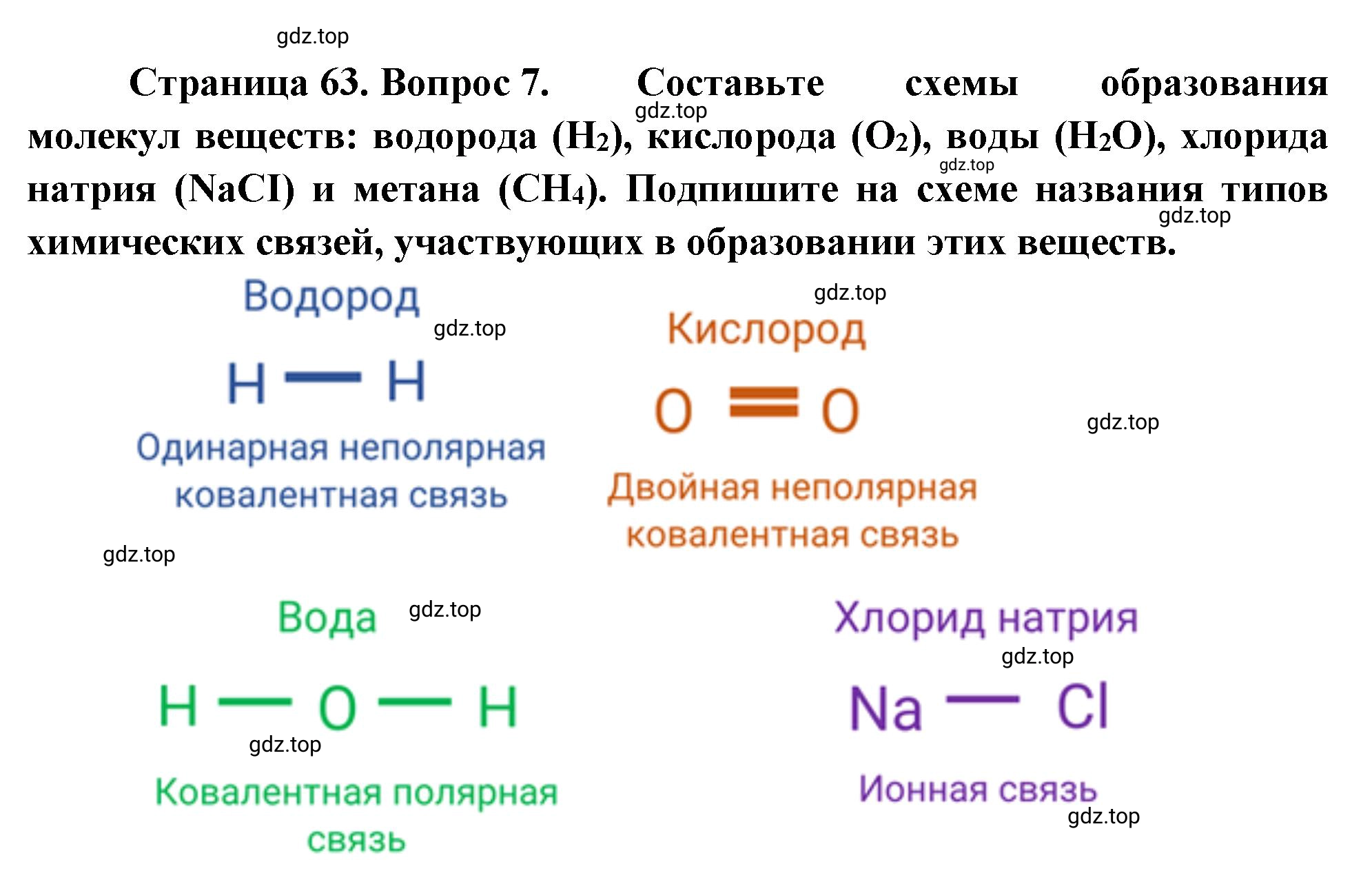 Решение номер 7 (страница 63) гдз по биологии 10 класс Пасечник, Каменский, учебник 1 часть