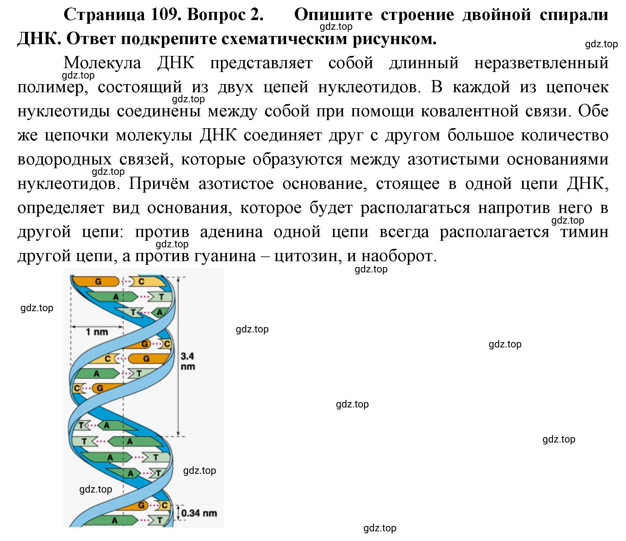 Решение номер 2 (страница 109) гдз по биологии 10 класс Пасечник, Каменский, учебник 1 часть