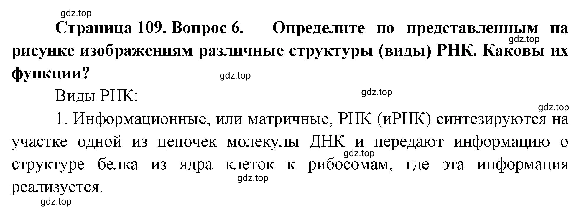 Решение номер 6 (страница 109) гдз по биологии 10 класс Пасечник, Каменский, учебник 1 часть