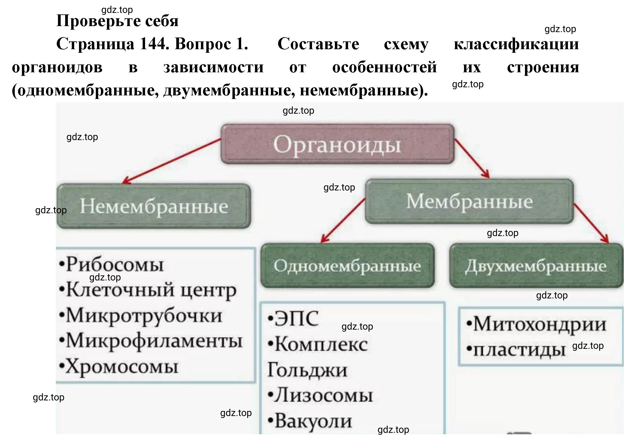 Решение номер 1 (страница 144) гдз по биологии 10 класс Пасечник, Каменский, учебник 1 часть
