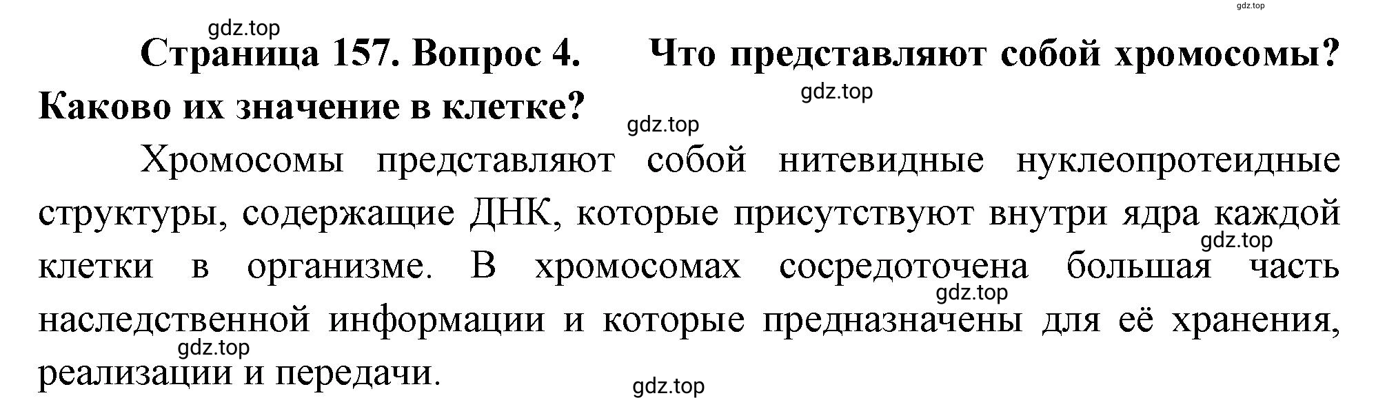 Решение номер 4 (страница 157) гдз по биологии 10 класс Пасечник, Каменский, учебник 1 часть