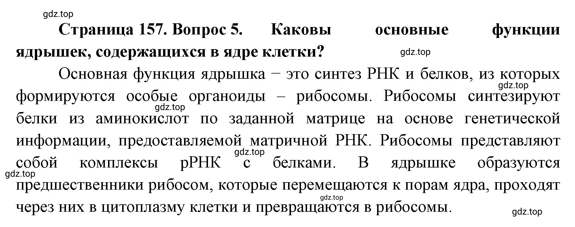 Решение номер 5 (страница 157) гдз по биологии 10 класс Пасечник, Каменский, учебник 1 часть