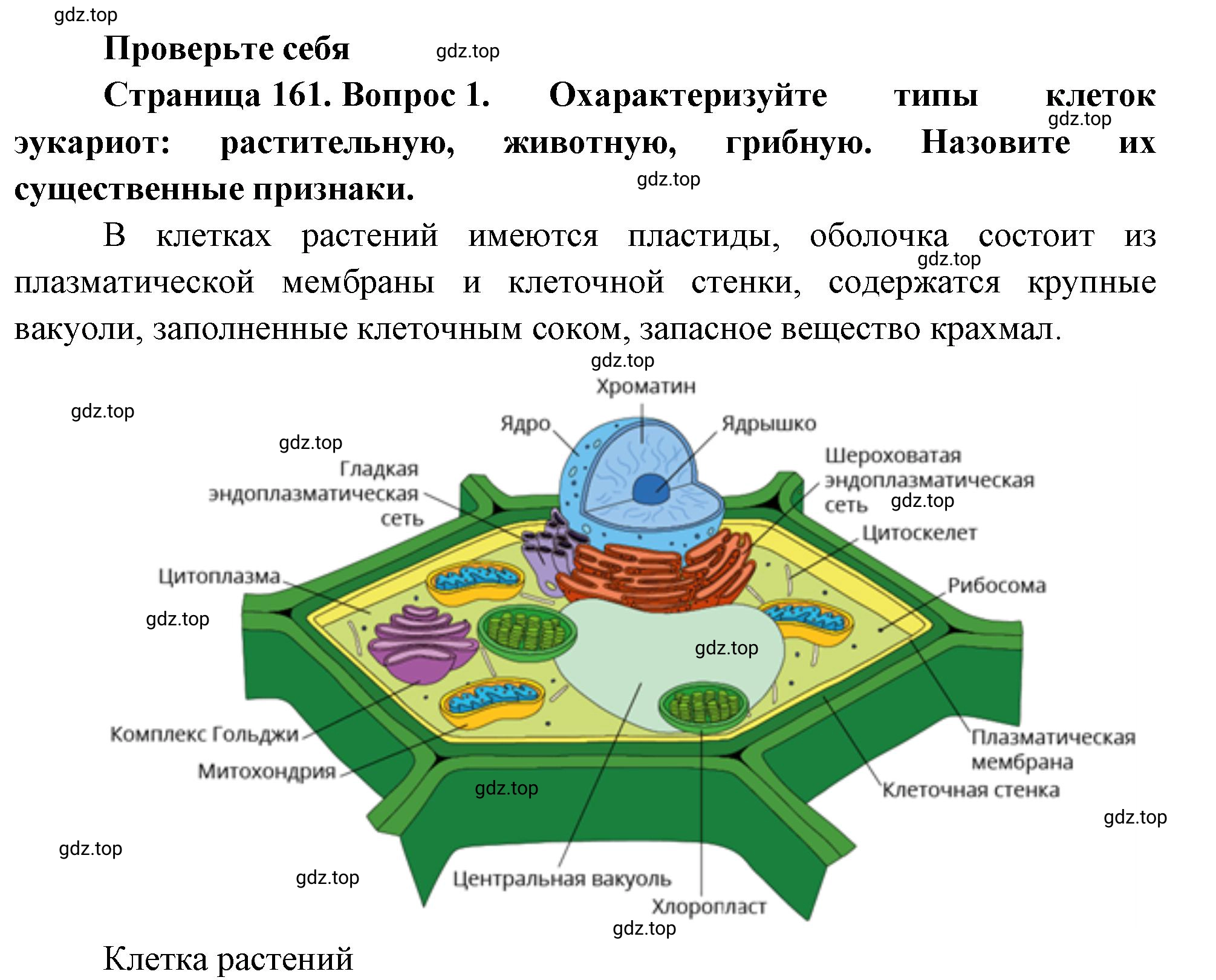 Решение номер 1 (страница 161) гдз по биологии 10 класс Пасечник, Каменский, учебник 1 часть