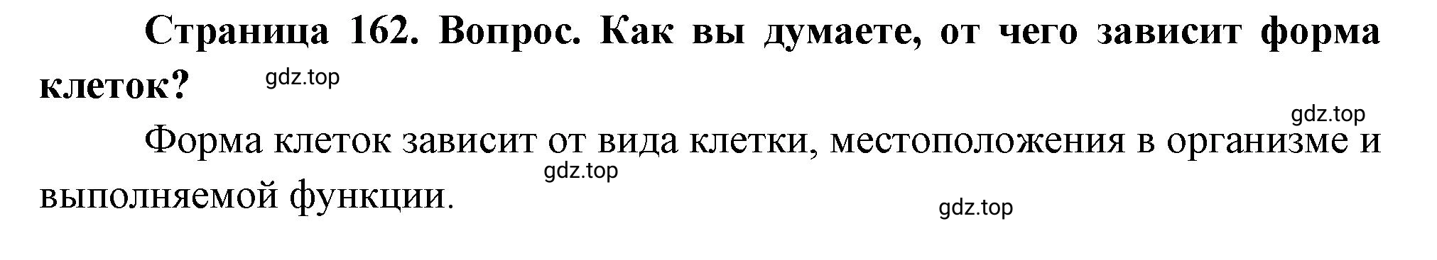 Решение номер 4 (страница 162) гдз по биологии 10 класс Пасечник, Каменский, учебник 1 часть