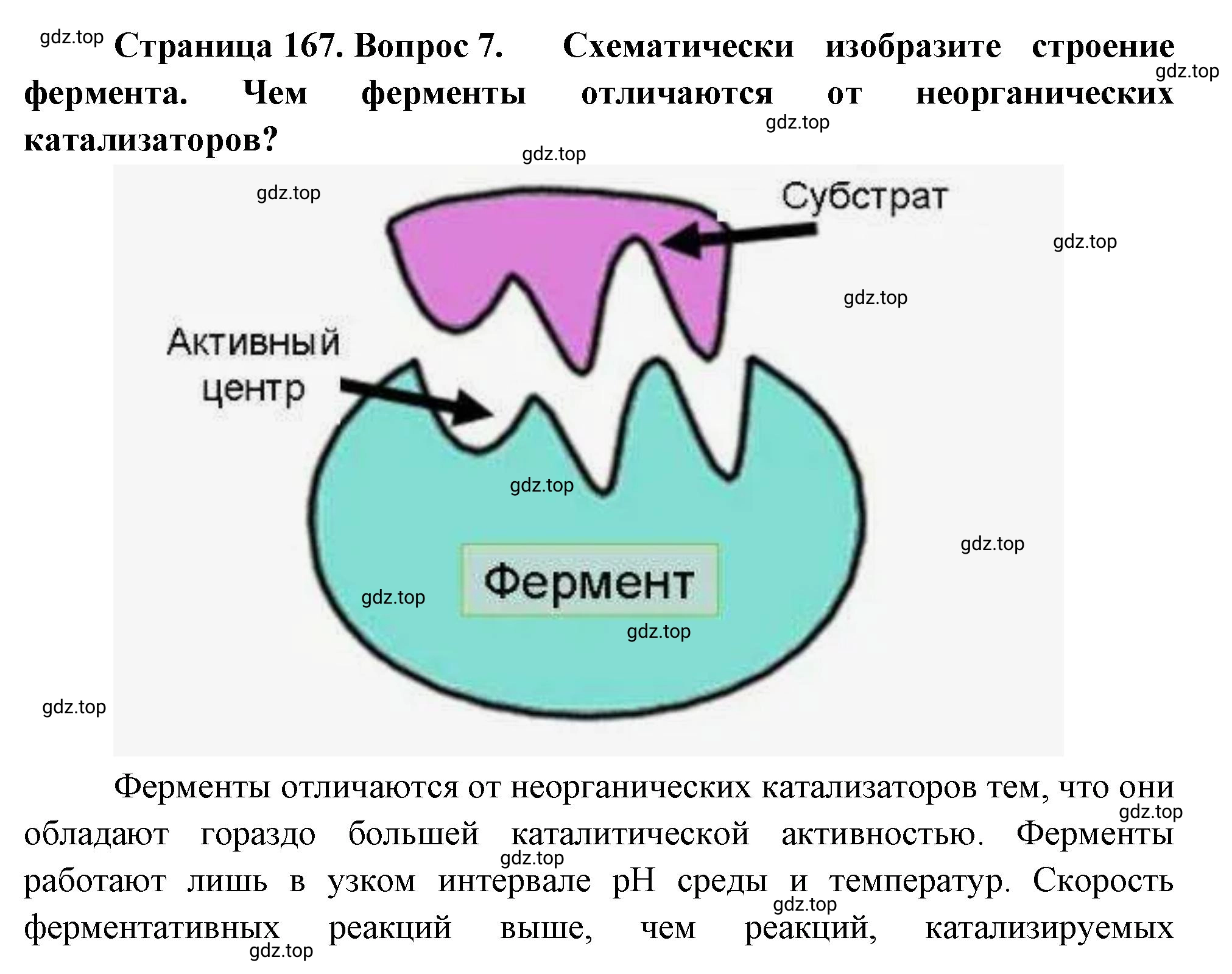 Решение номер 7 (страница 167) гдз по биологии 10 класс Пасечник, Каменский, учебник 1 часть