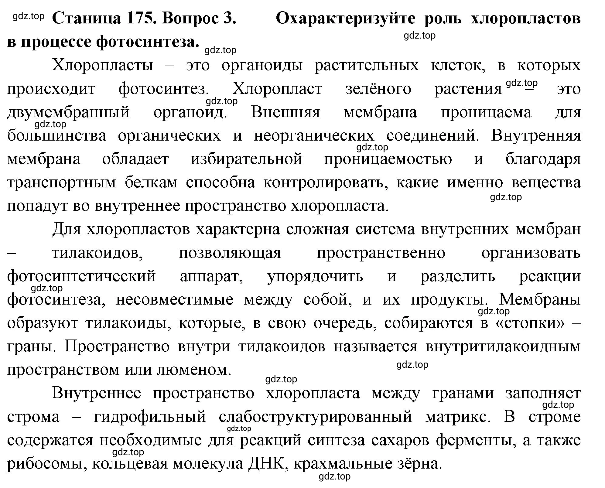 Решение номер 3 (страница 175) гдз по биологии 10 класс Пасечник, Каменский, учебник 1 часть