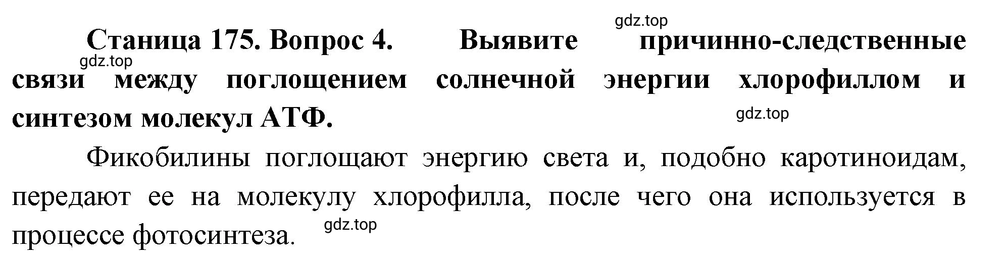 Решение номер 4 (страница 175) гдз по биологии 10 класс Пасечник, Каменский, учебник 1 часть