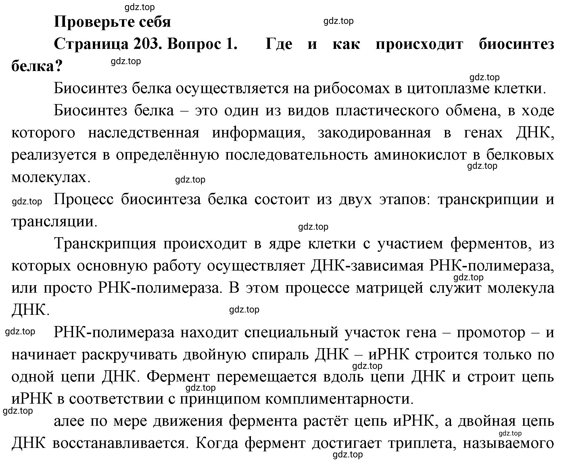 Решение номер 1 (страница 203) гдз по биологии 10 класс Пасечник, Каменский, учебник 1 часть