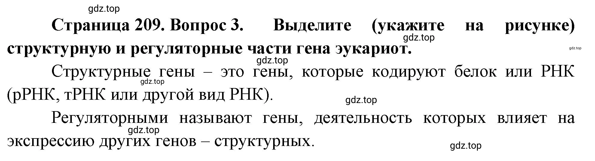 Решение номер 3 (страница 209) гдз по биологии 10 класс Пасечник, Каменский, учебник 1 часть