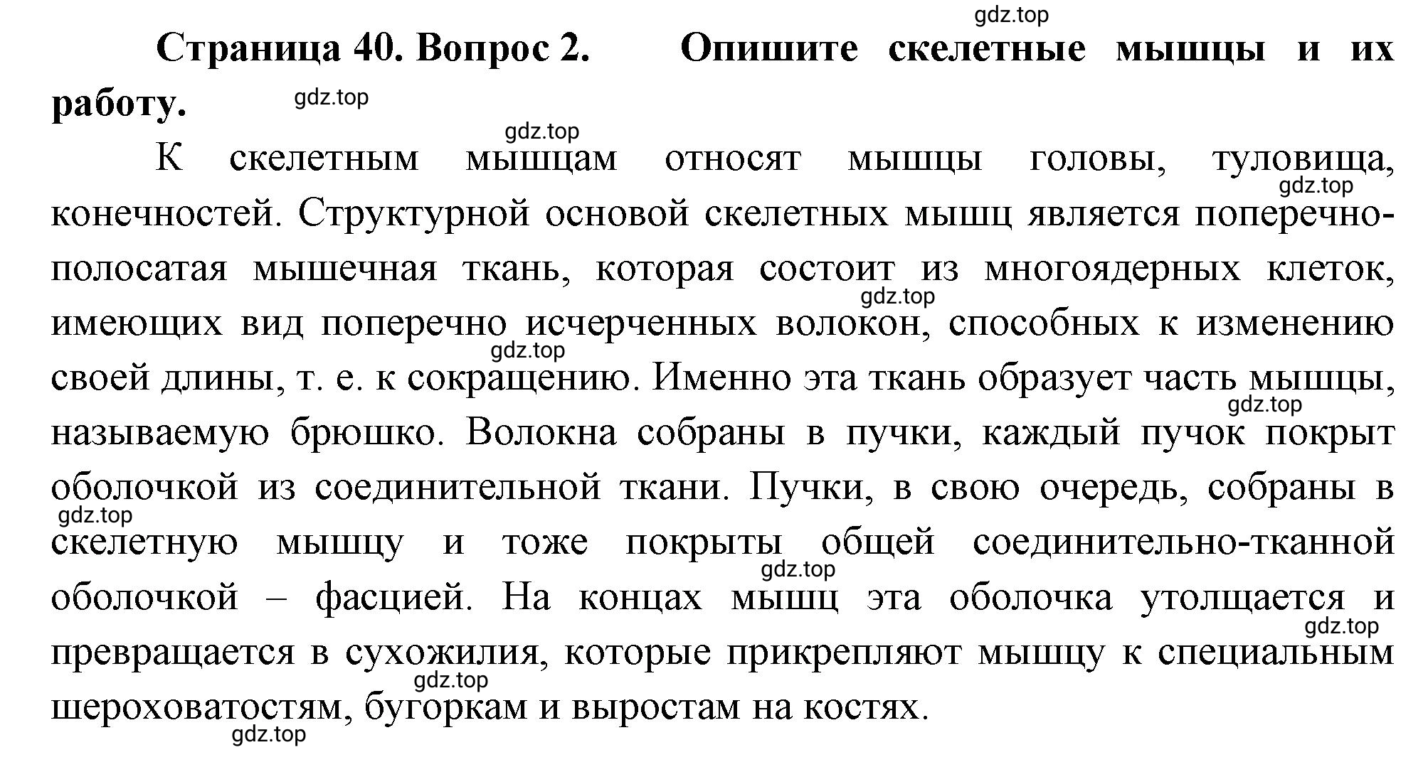 Решение номер 2 (страница 40) гдз по биологии 10 класс Пасечник, Каменский, учебник 2 часть