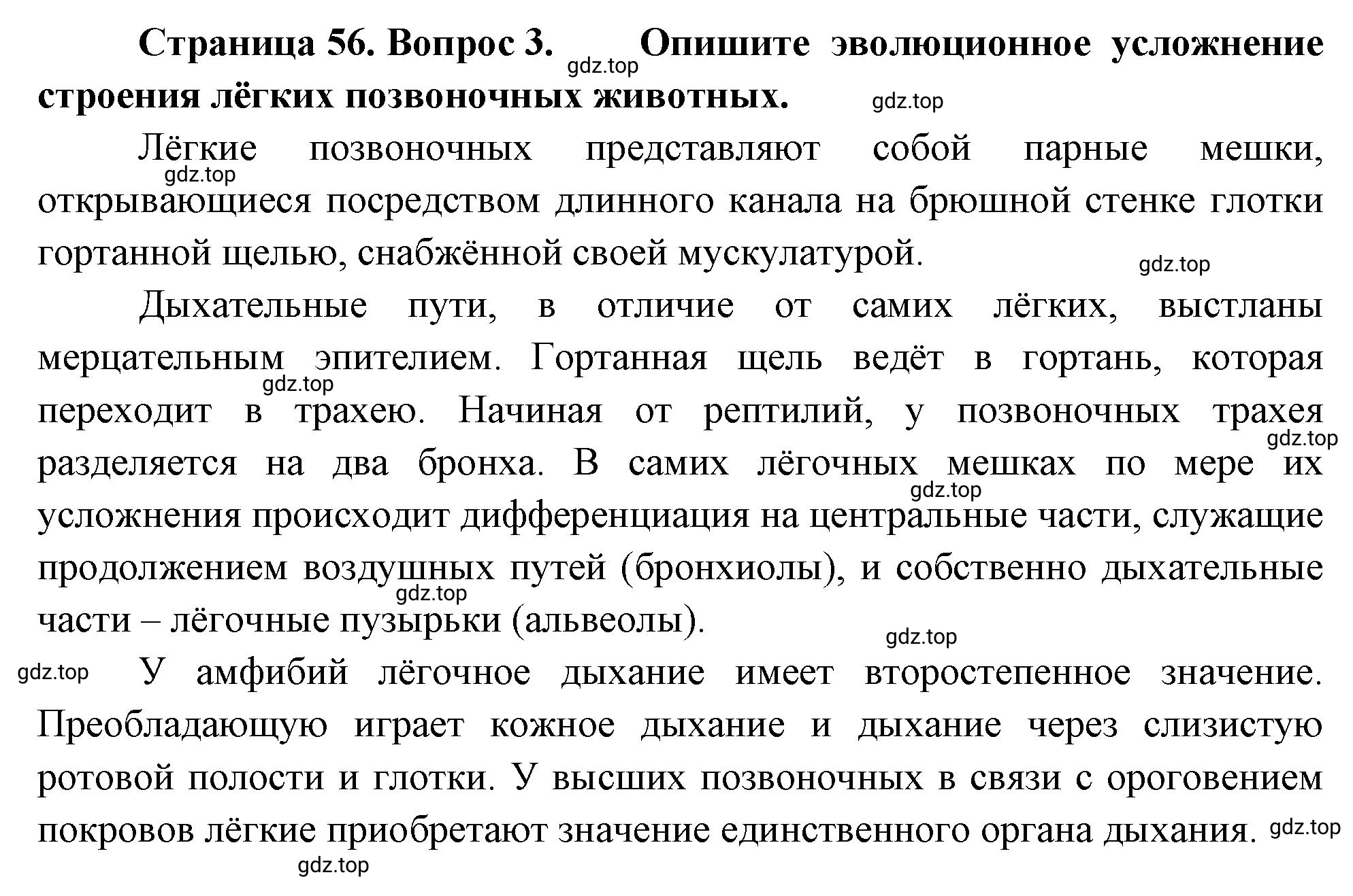 Решение номер 3 (страница 56) гдз по биологии 10 класс Пасечник, Каменский, учебник 2 часть