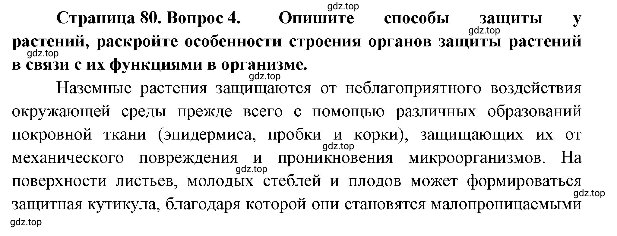 Решение номер 4 (страница 80) гдз по биологии 10 класс Пасечник, Каменский, учебник 2 часть