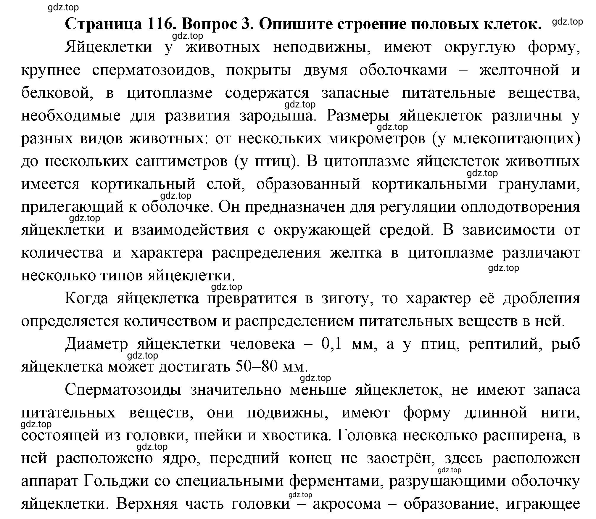 Решение номер 3 (страница 116) гдз по биологии 10 класс Пасечник, Каменский, учебник 2 часть