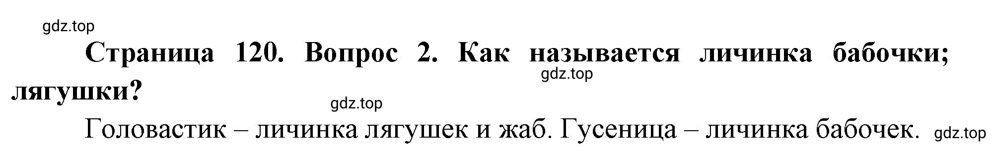 Решение номер 2 (страница 120) гдз по биологии 10 класс Пасечник, Каменский, учебник 2 часть