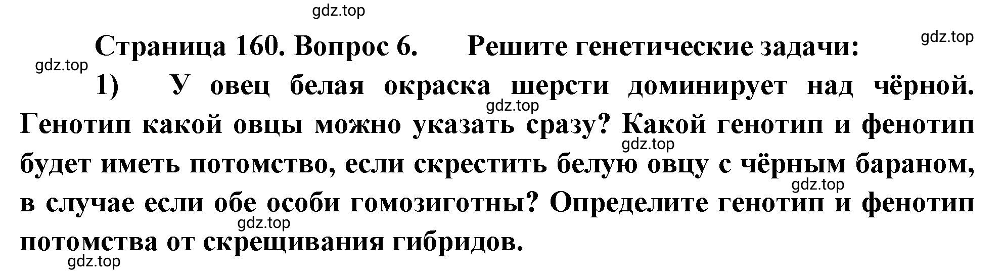 Решение номер 6 (страница 160) гдз по биологии 10 класс Пасечник, Каменский, учебник 2 часть