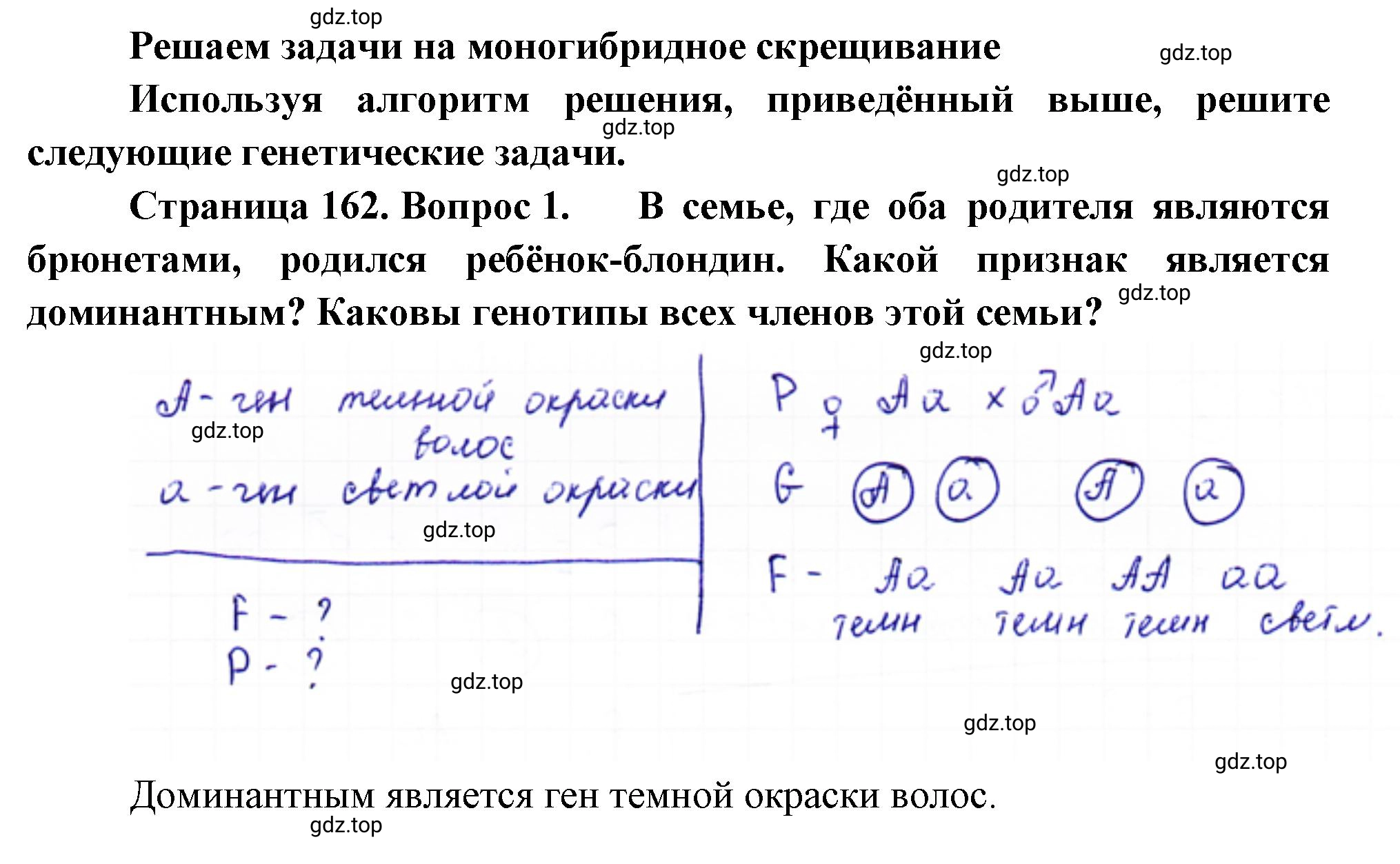 Решение номер 1 (страница 162) гдз по биологии 10 класс Пасечник, Каменский, учебник 2 часть