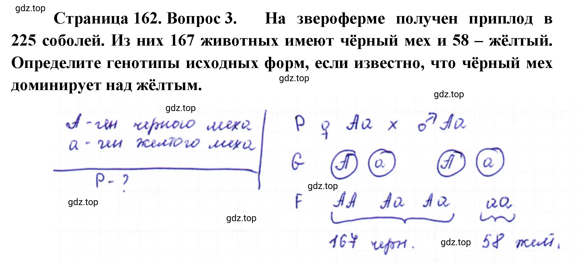 Решение номер 3 (страница 162) гдз по биологии 10 класс Пасечник, Каменский, учебник 2 часть