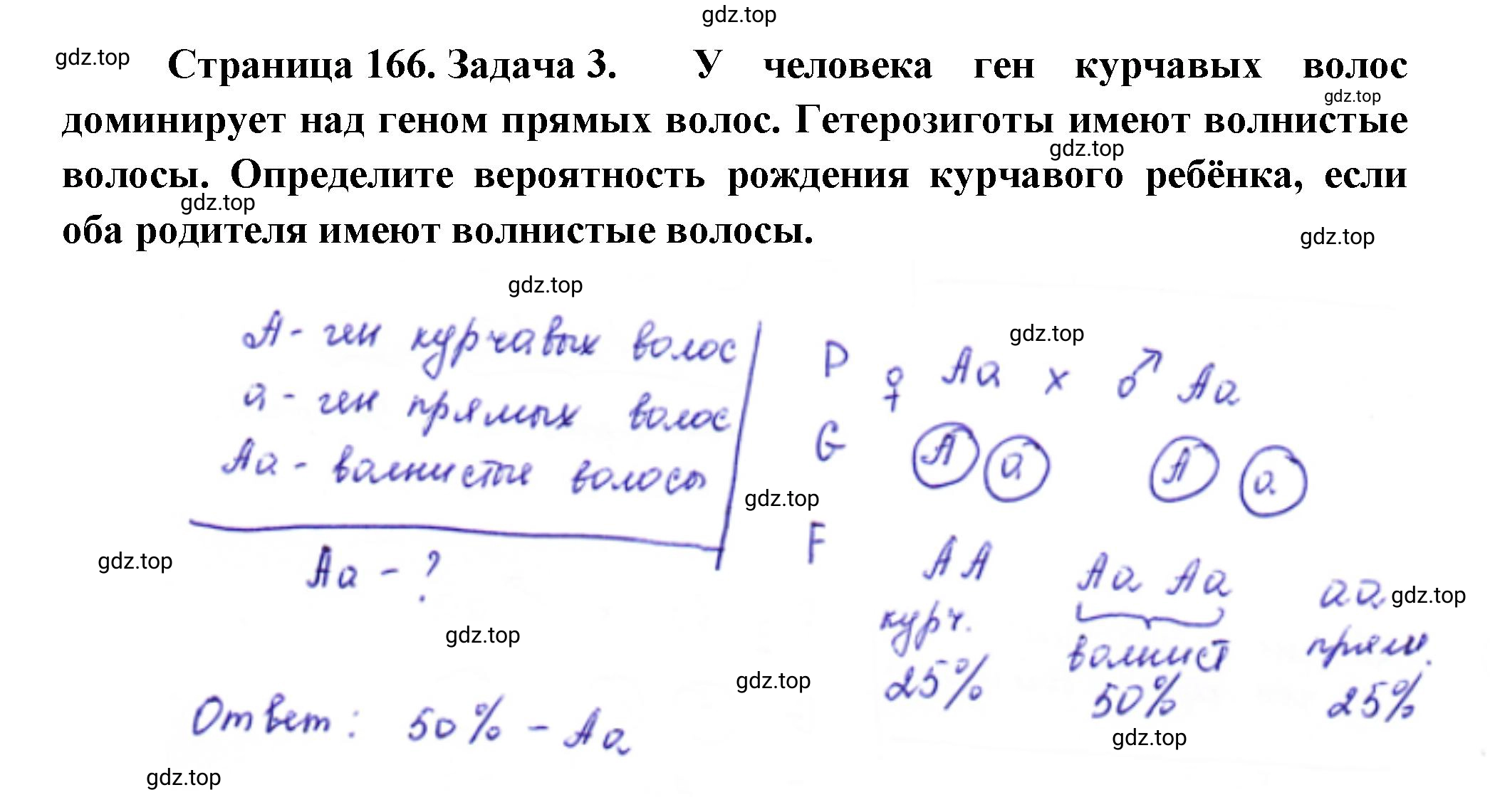 Решение номер 3 (страница 166) гдз по биологии 10 класс Пасечник, Каменский, учебник 2 часть