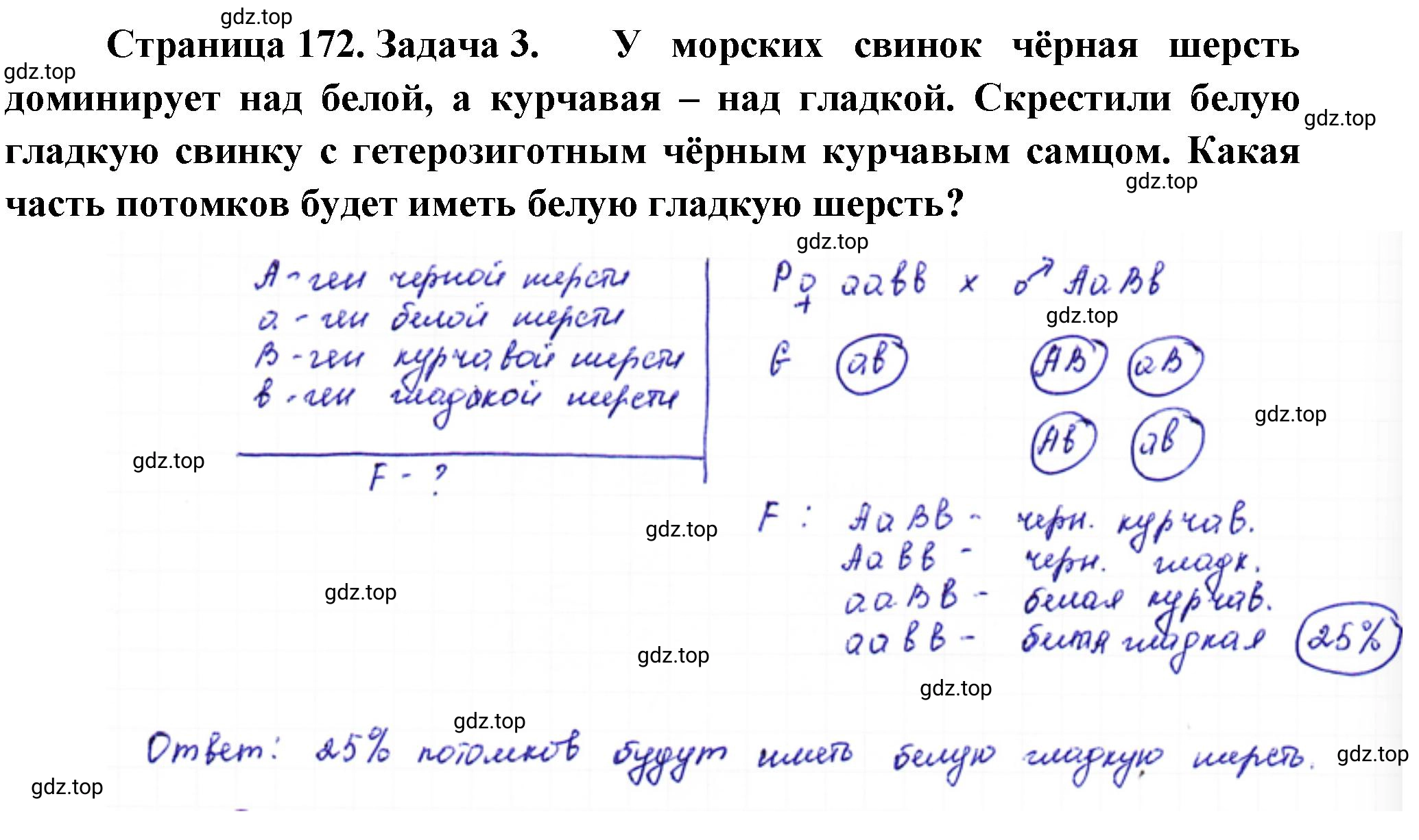 Решение номер 3 (страница 172) гдз по биологии 10 класс Пасечник, Каменский, учебник 2 часть