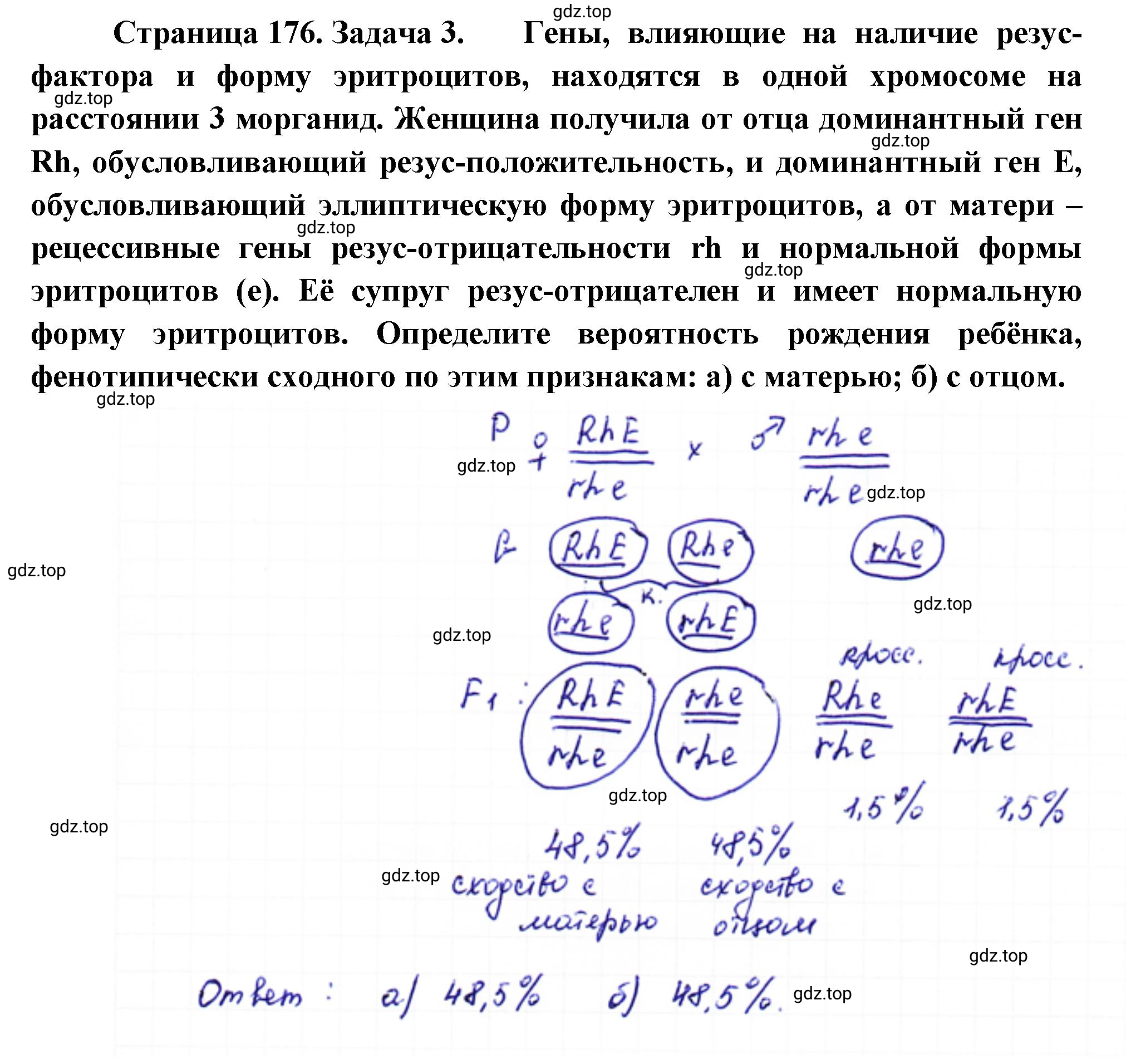 Решение номер 3 (страница 176) гдз по биологии 10 класс Пасечник, Каменский, учебник 2 часть