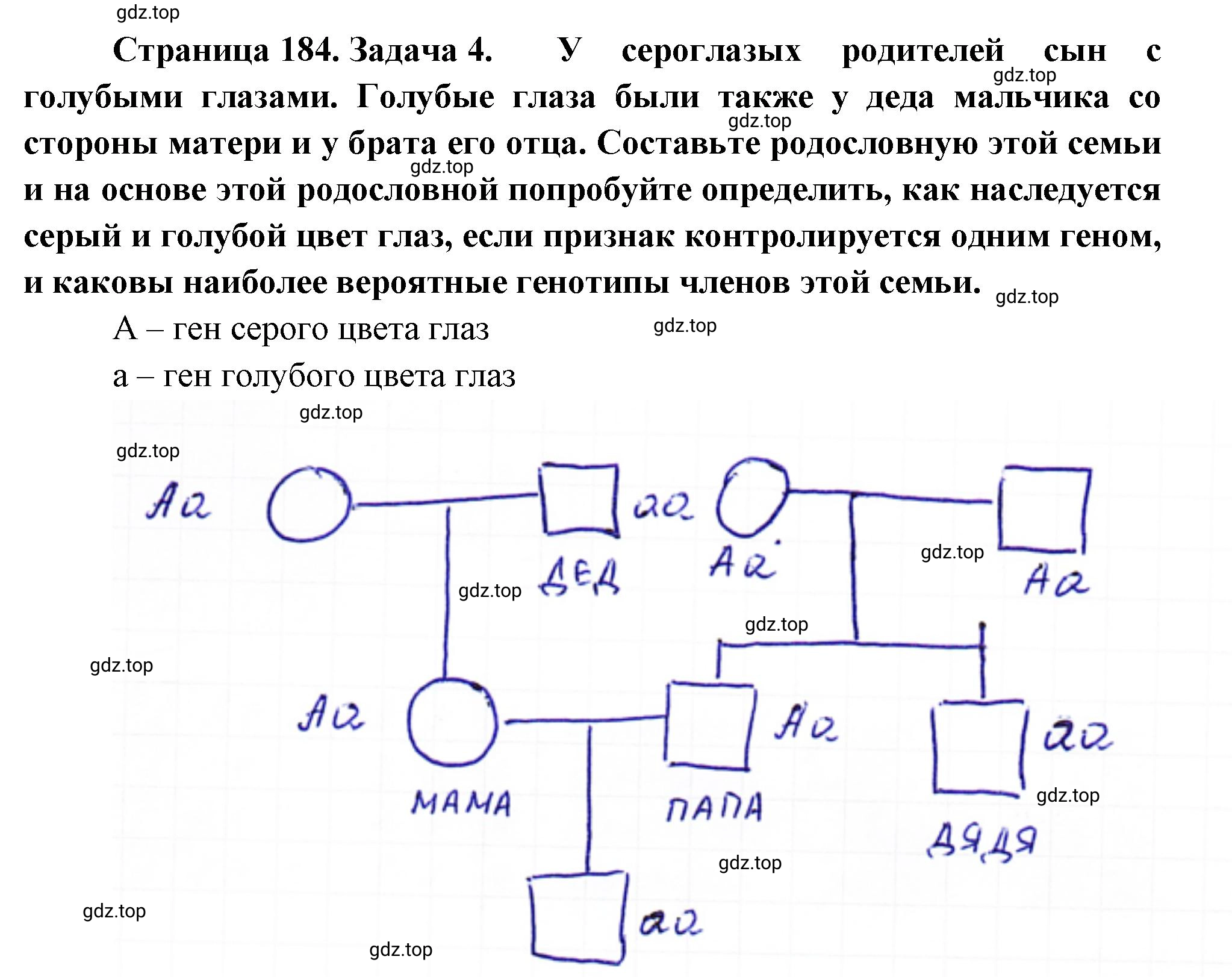 Решение номер 4 (страница 184) гдз по биологии 10 класс Пасечник, Каменский, учебник 2 часть