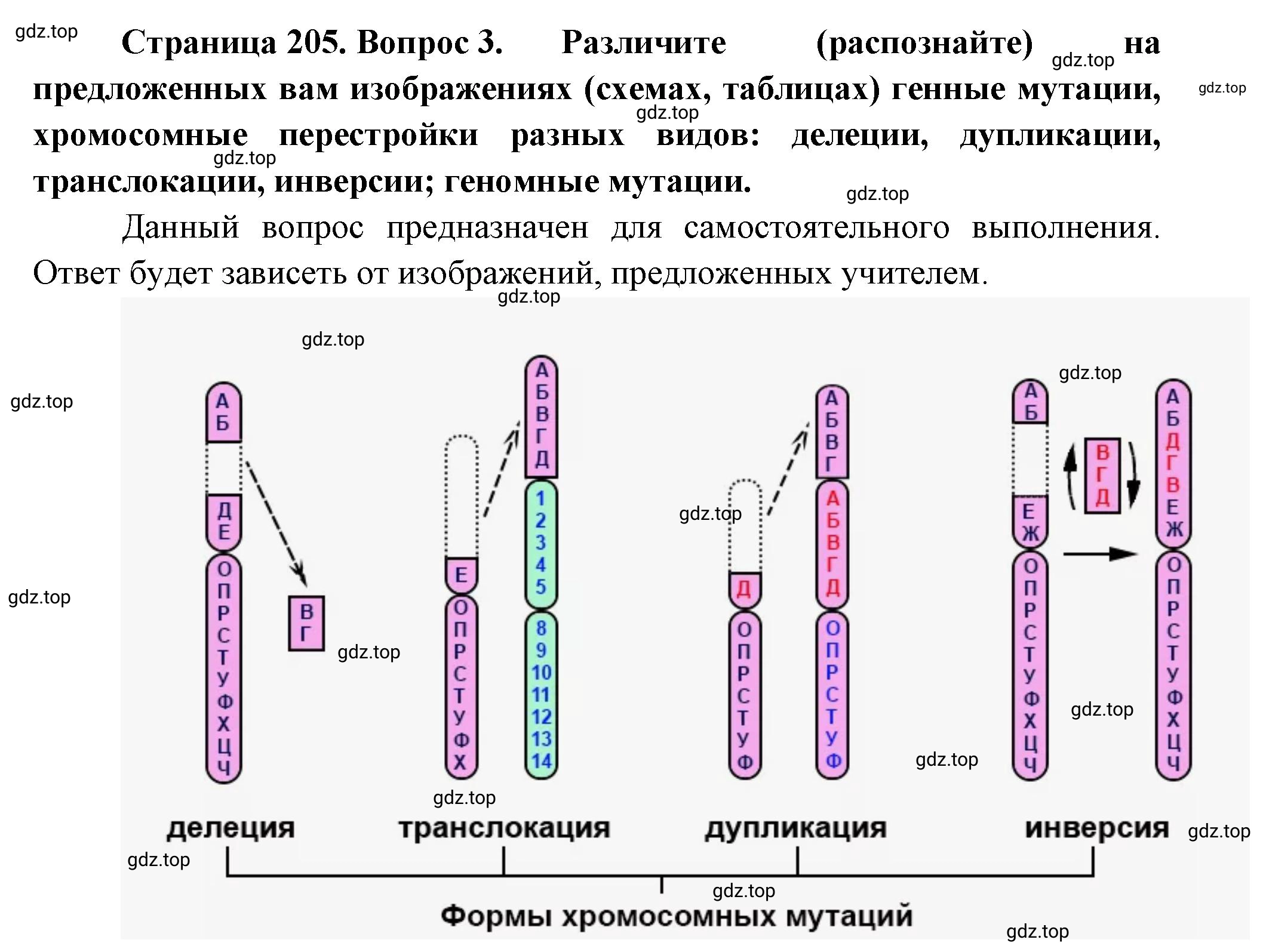 Решение номер 3 (страница 205) гдз по биологии 10 класс Пасечник, Каменский, учебник 2 часть