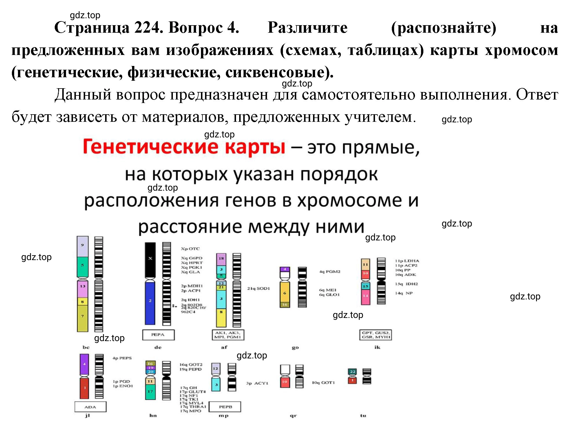 Решение номер 4 (страница 224) гдз по биологии 10 класс Пасечник, Каменский, учебник 2 часть