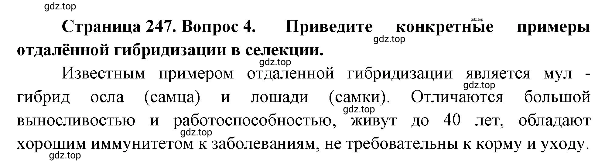 Решение номер 4 (страница 247) гдз по биологии 10 класс Пасечник, Каменский, учебник 2 часть