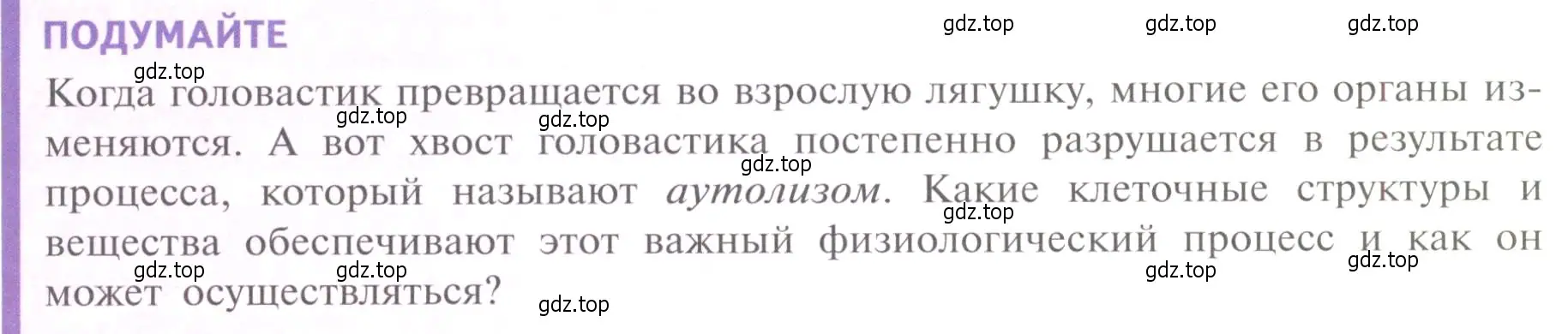 Условие  Подумайте (страница 135) гдз по биологии 10 класс Пасечник, Каменский, учебник