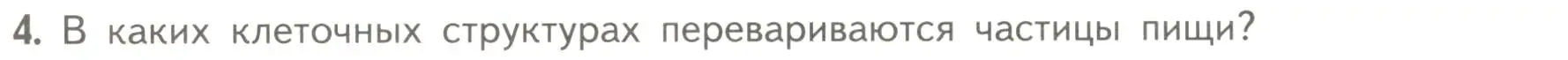 Условие номер 4 (страница 135) гдз по биологии 10 класс Пасечник, Каменский, учебник